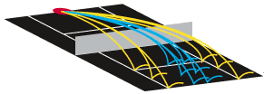 Dual and two-line oscillation