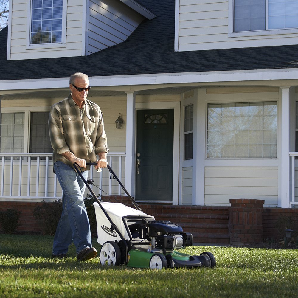 Lawn-Boy 10730 gas push mower review